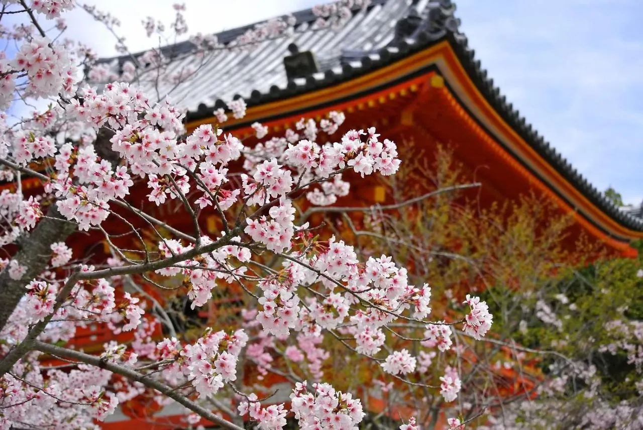 Stay Sakura Kyoto Matsuri Japan