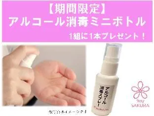 스테이 사쿠라 교토 마츠리 3*,